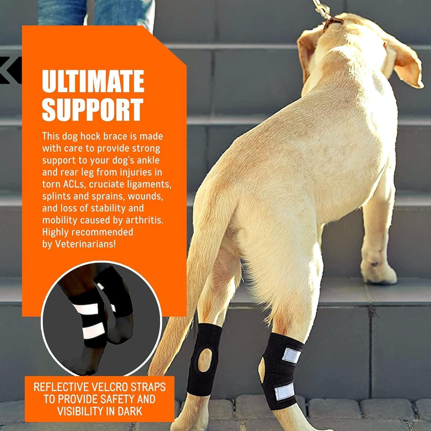 Dog Knee Brace for Torn ACL Hind Leg and Luxating Patella, Canine Rear Hock Joint Support, Joint Injury and Sprain Protection, Removable Design (S)