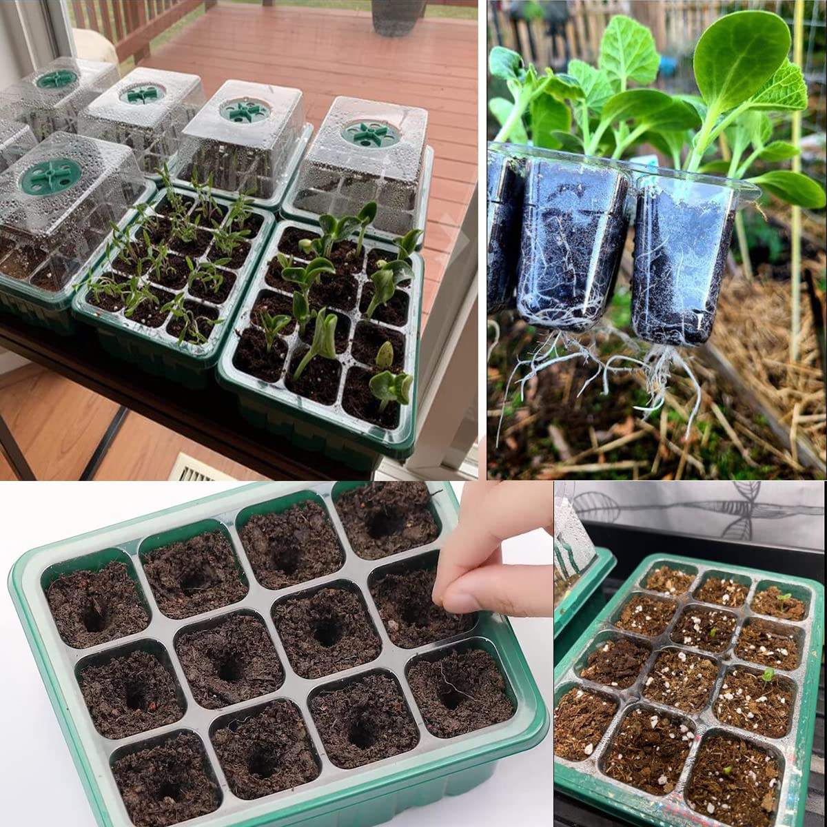 12 Packs Seed Starter Tray,Seed Starter Kit with 10 Plant Labels (12Cells per Tray),Mini Greenhouse Germination Kit for Seeds Growing Starting,Seed Starting Trays Plant Starter (12, Green)