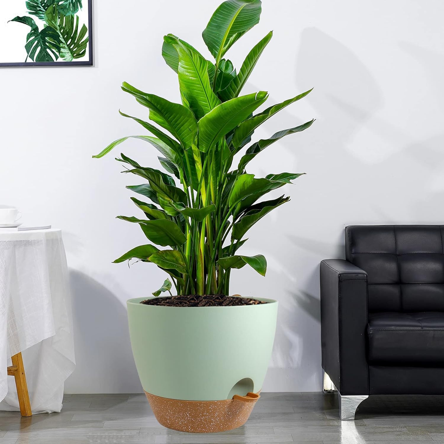 12 Inch Large Self Watering Pots, Plastic Planters with 60Oz Removable Deep Reservoir and Multi Mesh Drainage Holes for Indoor Outdoor Garden Plants and Flowers, Green with Brown - Black With Brown image number 6