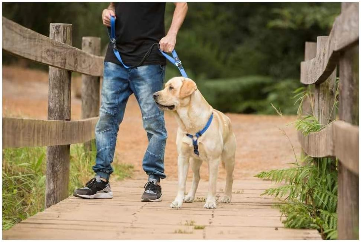 Rogz Control Shock Absorbing Bungee Dog Lead Black Extra Large image number 1