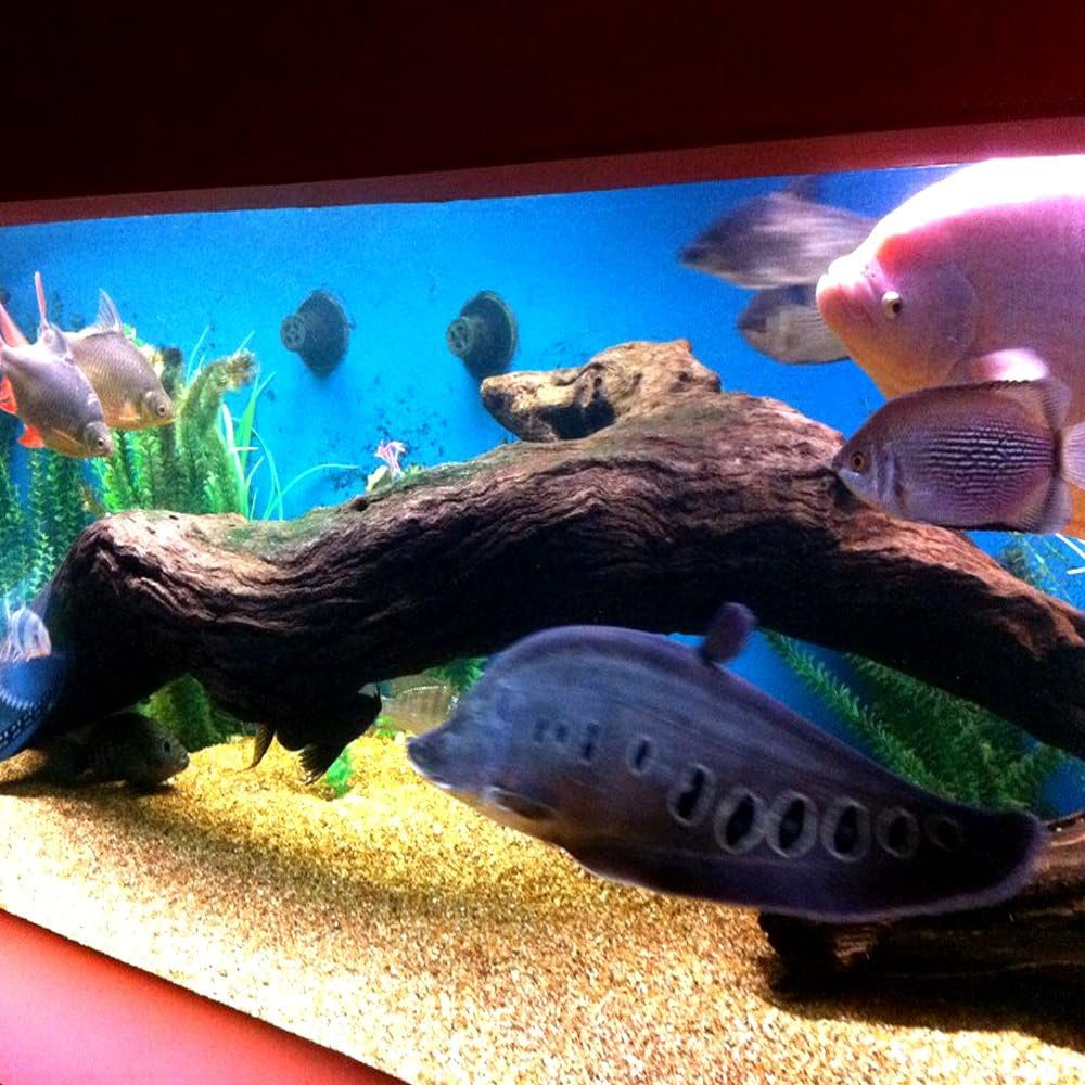 Pond Armor SKU-FGREEN-QT-R Non-Toxic Pond Shield Epoxy Paint, 1.5-Quart, Forest Green image number 2