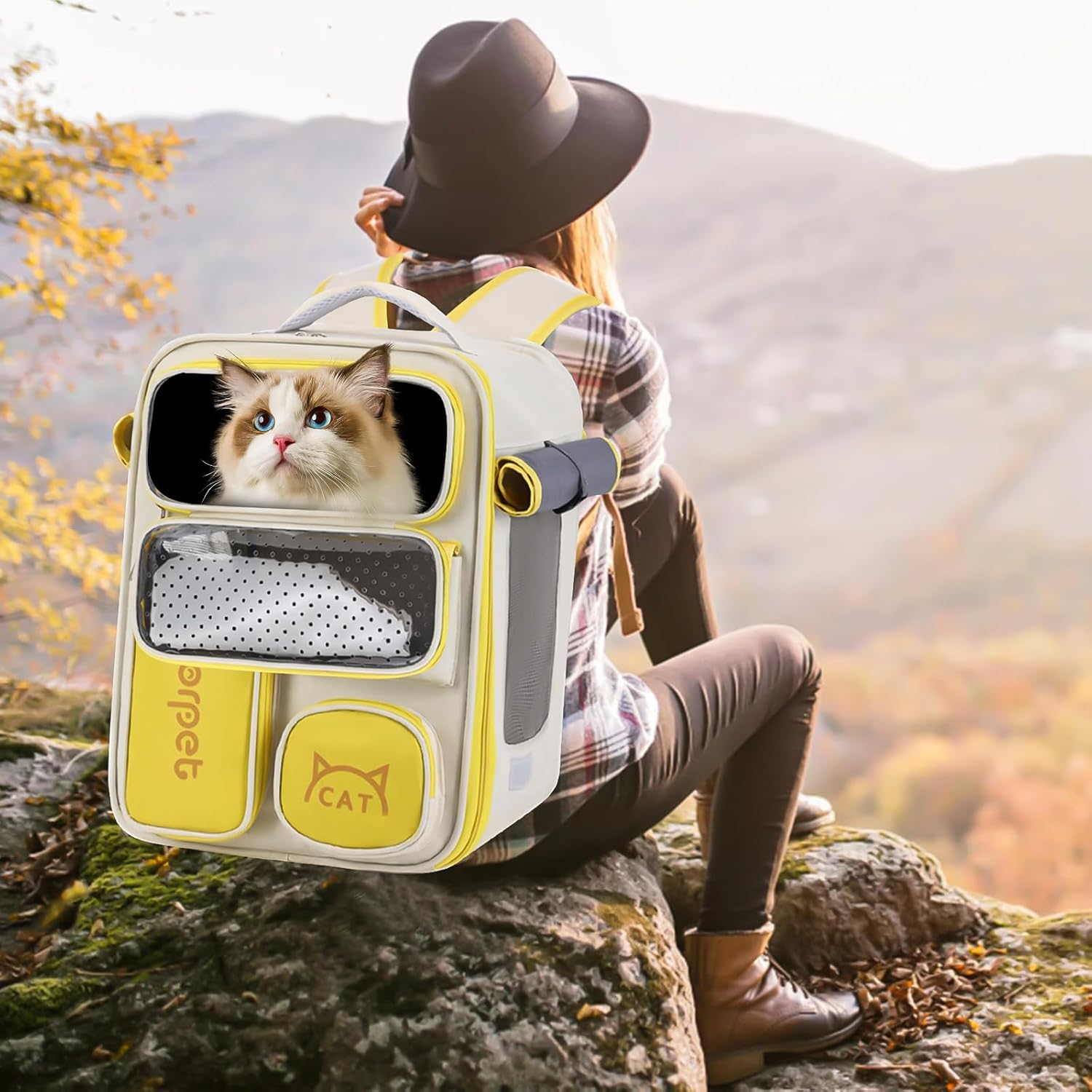 PETCUTE Cat Backpack, Space Capsule Pet Backpack for Small Cats and Dogs, Foldable Dog Carrier Backpack with Inner Safety Lead, Breathable Dog Backpack with Removable Mat image number 3