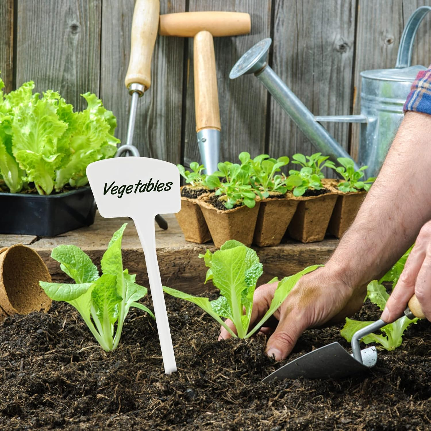 Plastic Plant Labels,10.4 Inch 30 Pack Outdoor Garden Tags Thick Garden Labels,Waterproof Sturdy Nursery Garden Markers,Strong Large Plant Markers for Vegetable Plants,Fruits,Flowers