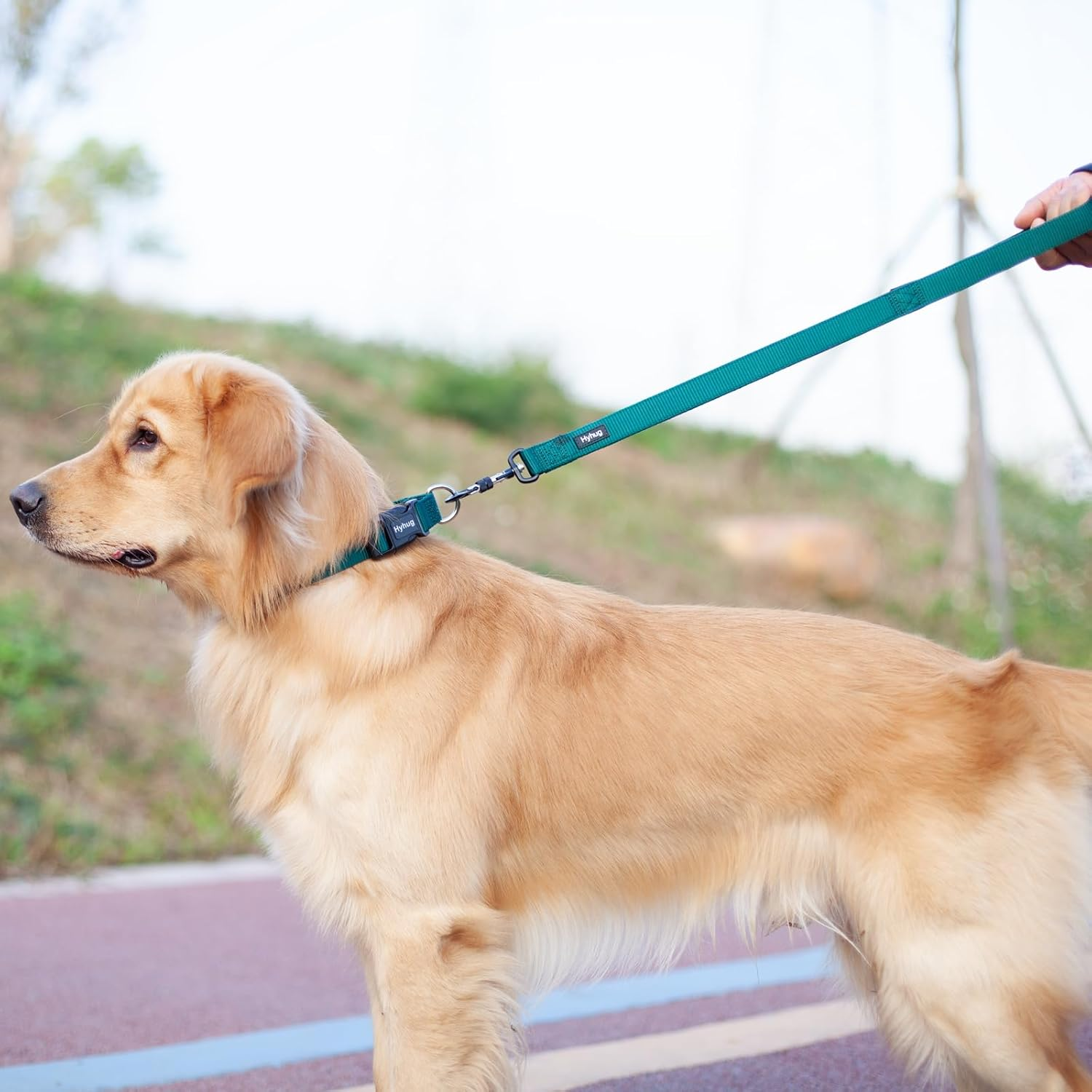 Hyhug Pets 24 Inches Heavy Duty Short Leash with Comfortable Handle and Lightweight Aviation Aluminium Clip Lead- for Large Medium Dogs Professional Training and Walking. (Dark Green) image number 6