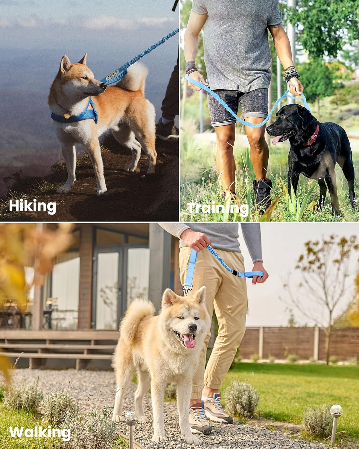 Outdoormaster Bungee Dog Leash (Blue, 4 FT) image number 2