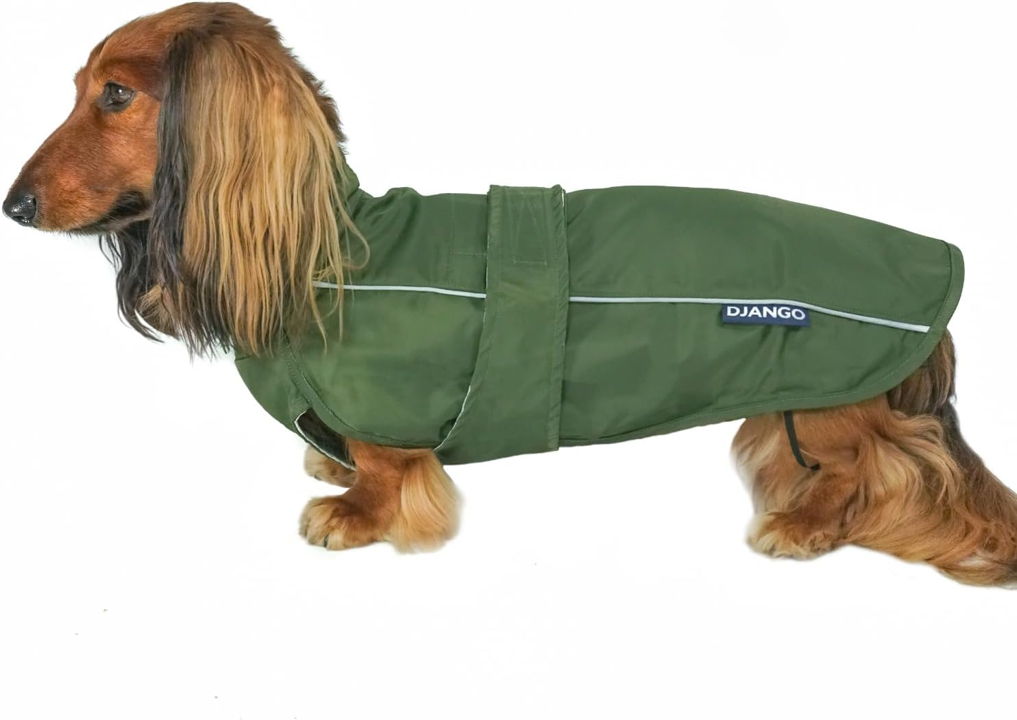 DJANGO City Slicker All-Weather Dog Jacket & Water-Repellent Raincoat with Reflective Piping (Small, Kombu Green)