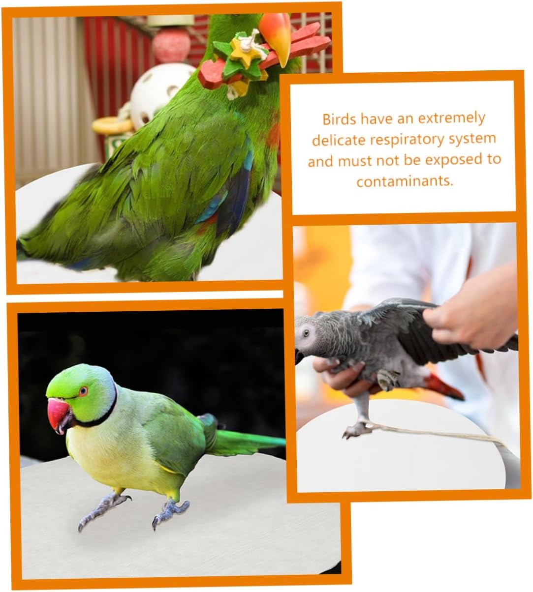 POPETPOP 100Pcs round Bird Cage Liner Sheets Absorbent Non Woven Parakeet Cage Bottom Mats for Clean and Healthy Birdcages image number 3