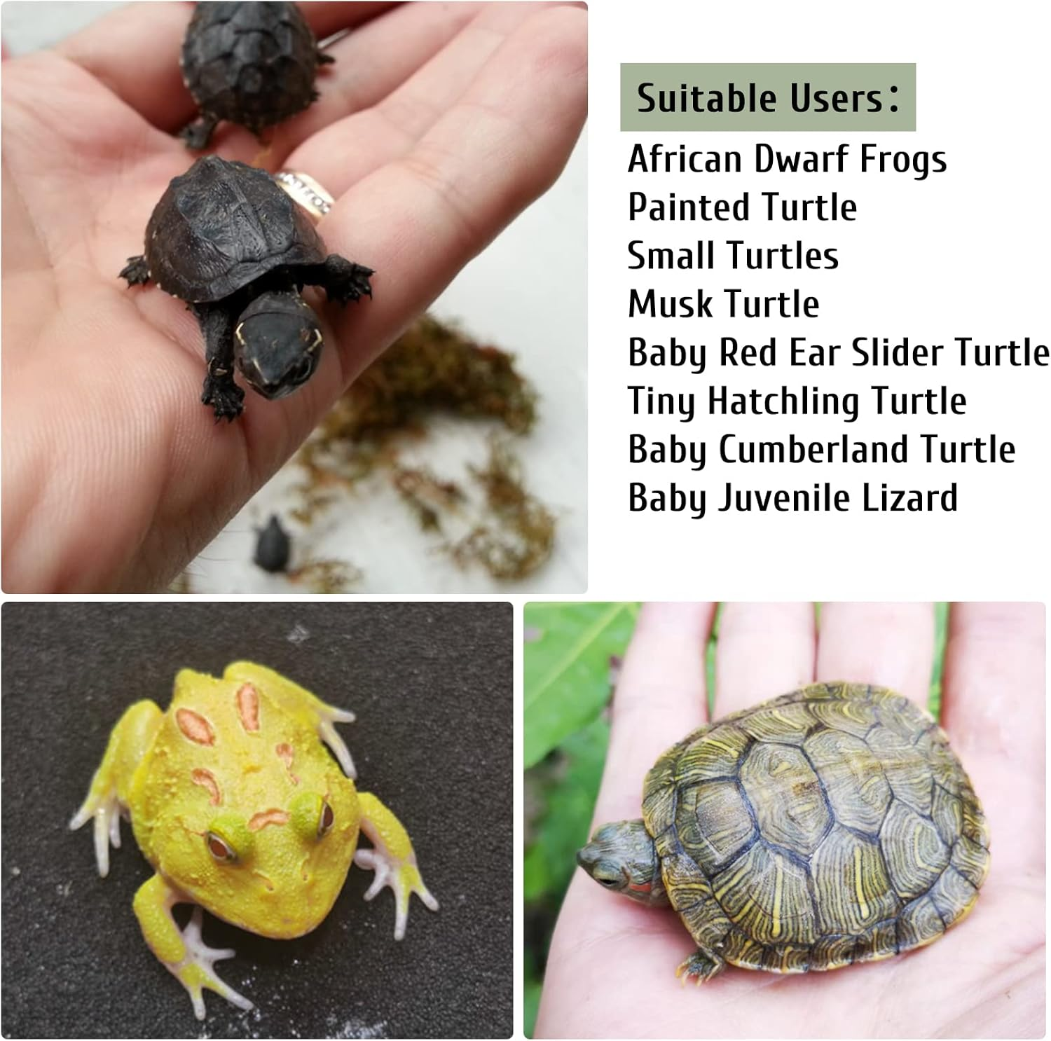 Turtle Basking Platform Reptile Climbing Shale Resin Step Ledge Stone Aquarium Ornament Rock Landscaping Decoration with Suction Cups for Frogs Newts Amphibians Lizard (Medium:8.2&rdquo;Lx3.3&rdquo;Wx3.1&rdquo;H) image number 6