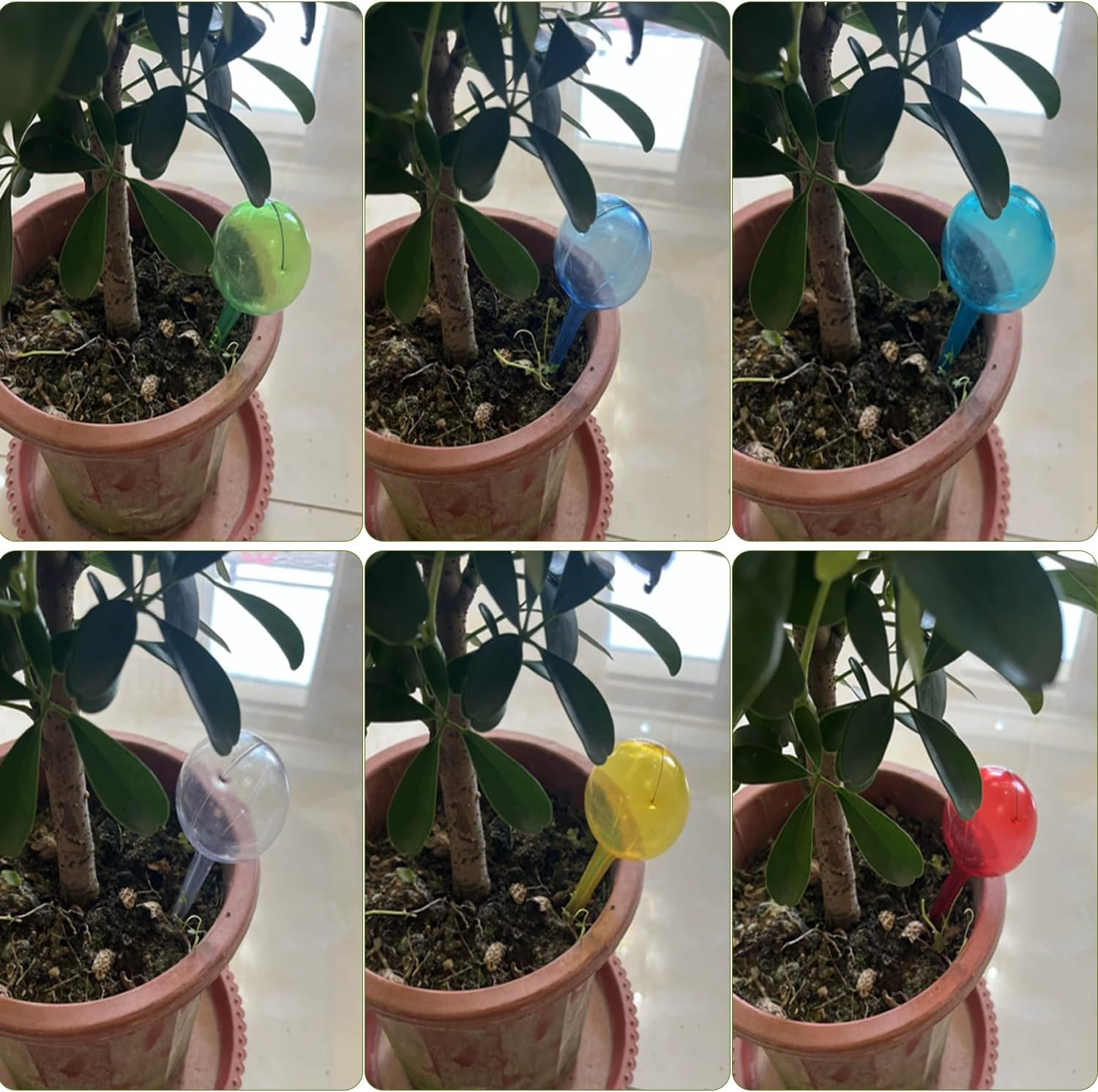 12 Pcs Plant Watering Globes, Automatic Watering Bulbs, Plastic Garden Watering Globes Insert Device, Water Device Drip for Plant, Self-Watering System for Indoor Outdoor Garden (Color) - Color image number 5