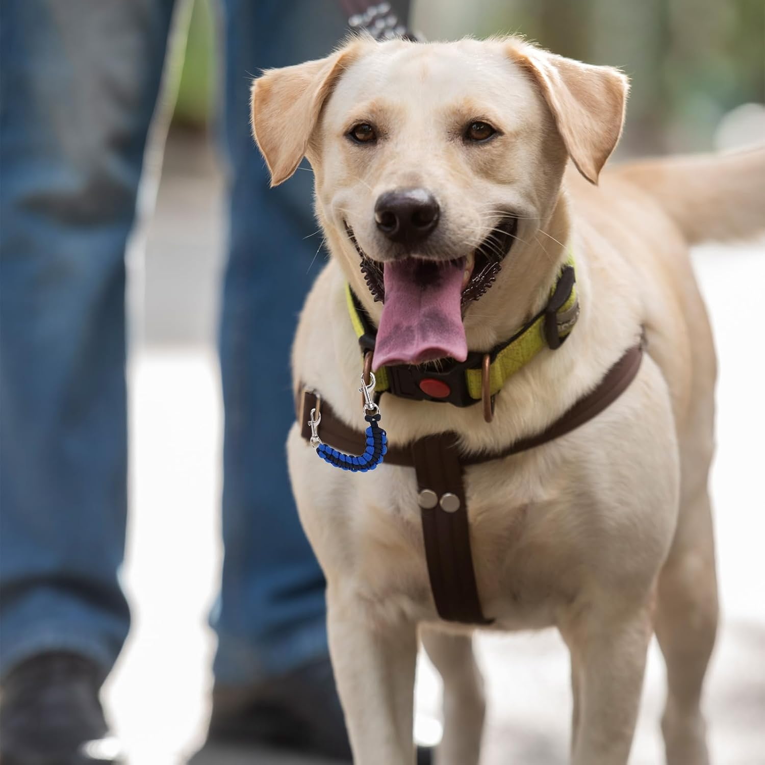 2Pcs Dog Prong Collar Safety Clip, 17.5Cm/6.89In 360&deg; Rotating Dog Collar Strap Pet Leash Extender for Harness Connector Double Clip Pet Essentials for Walking Running Hiking image number 6