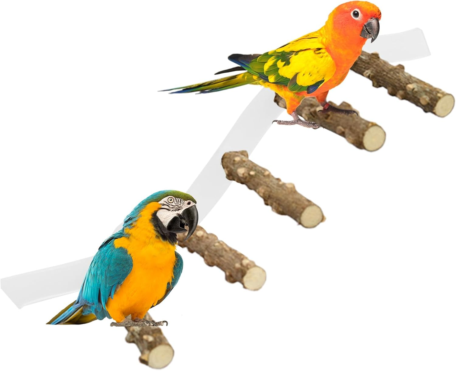 Nybhyjka Perch for Birds,Conure Climbing Ramp - Portable Suction Cup Cage Perch for Parrot, Parakeet, Conure for Home, Wall, Window image number 4