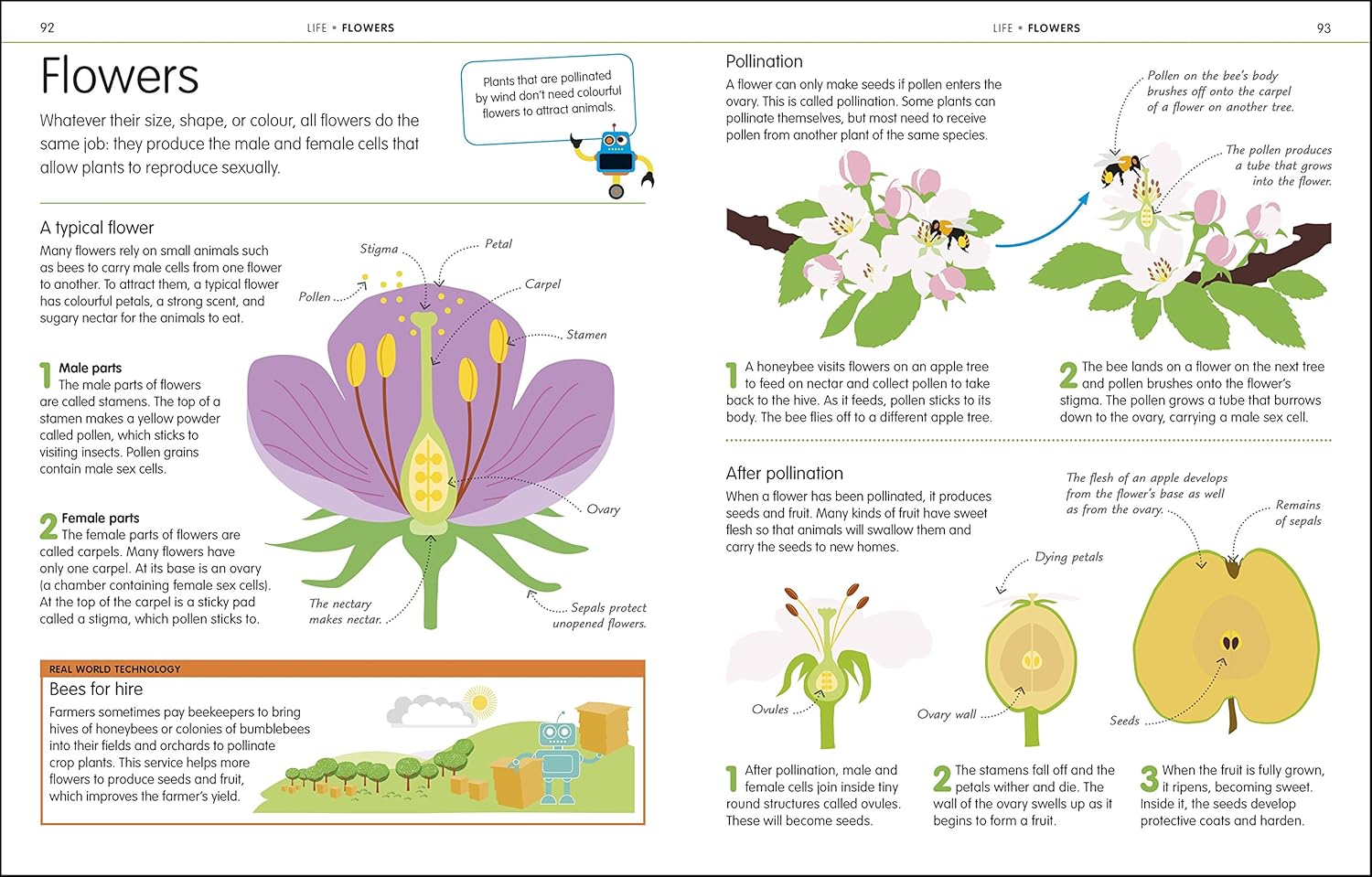 How to Be Good at Science, Technology, and Engineering image number 5