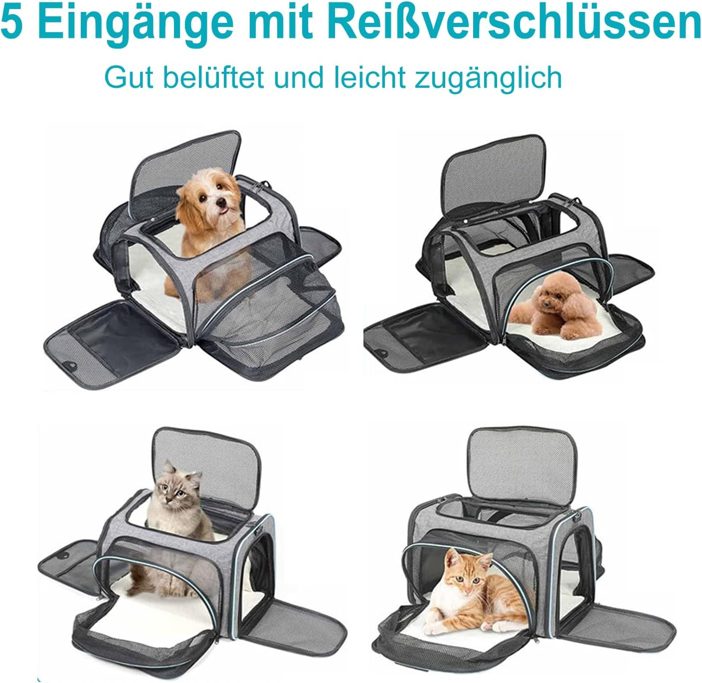 Cat and Dog Transport Bag, Expandable Transport Box, Foldable Carry Bag for Cats, Small Dogs, Cats, Dog Bag, Pet Bag in the Car, Vehicle or Train (Grey + Blue) image number 6