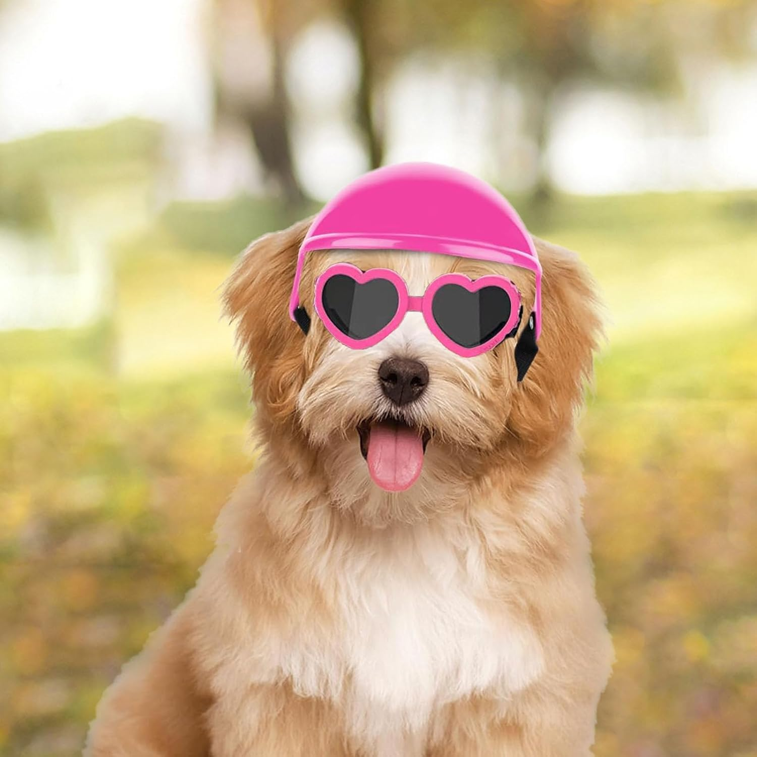 UOSIA Dog Helmet Goggles Dog Motorcycle Helmet with Ear Holes Cute Dog Sunglasses and Dog Helmet Set for Small Medium Dog Outdoor Driving Walking image number 1