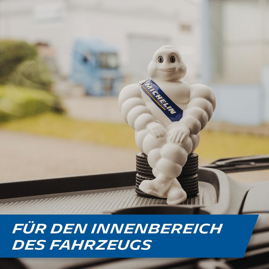 MICHELIN 330102 Male