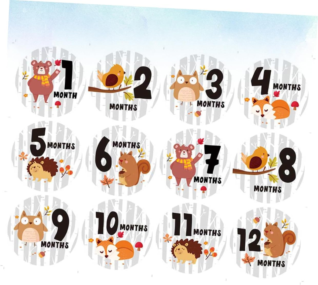 12Pcs Monthly Milestone Stickers for Newborns Self-Adhesive Stuff Gifts