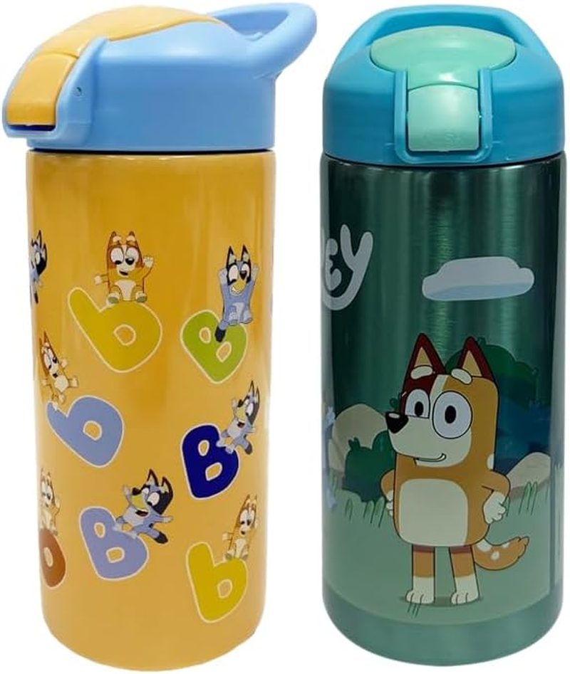 Blue 577Ml Vector Stainless Steel Bottle - 2 Pack