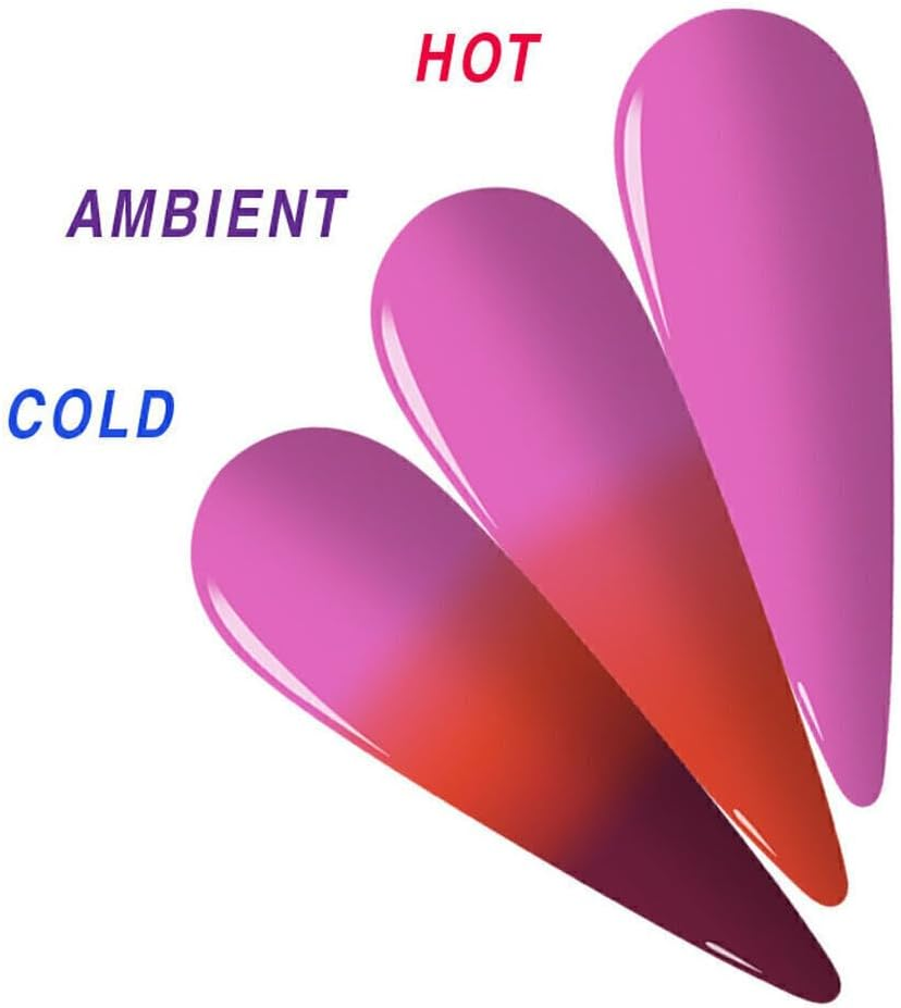 EDS Transform 19 - Transform Collection - 56G Dipping Powder