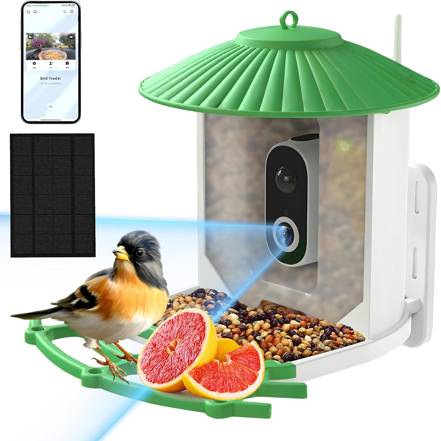 Smart Bird Feeder with Camera, 2K High-Definition AI Recognition Birdhouses with Solar Powered, Live View and Instant Notifications, Auto Capture Bird Videos & Motion Detection, Ideal Gift image number 5