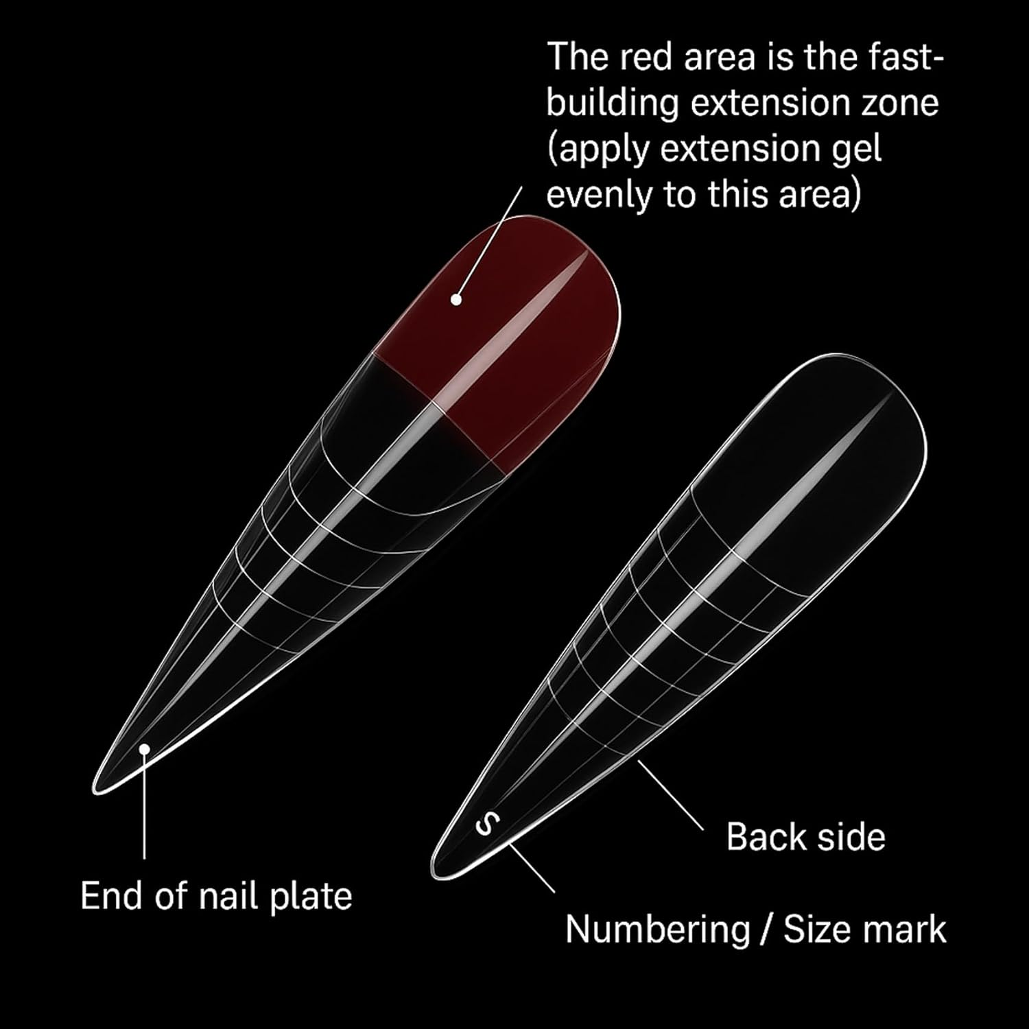 Xiciki Pack of 120 Dual Tips Nails Set, Transparent, Dual Nail Forms with Size Scale for Gel & Acrylic Extension, for DIY, Salon and Nail Art Design image number 6