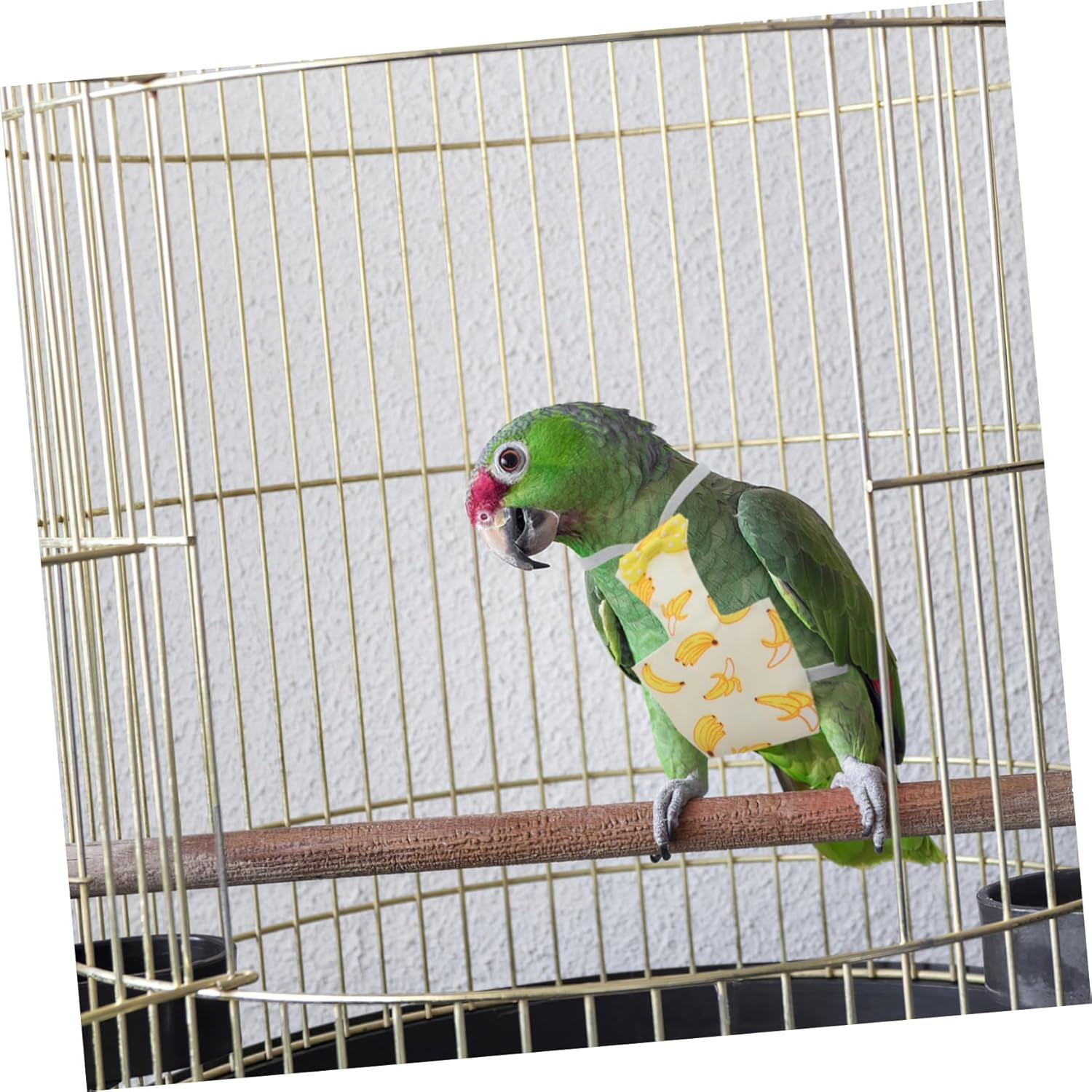 HANABASS 2Pcs Bird Flying Clothes Parrot Diapers Fruit Pattern Breathable Nappy for Budgies Lovebirds Cockatiels Accessories for Parties and Holidays image number 5