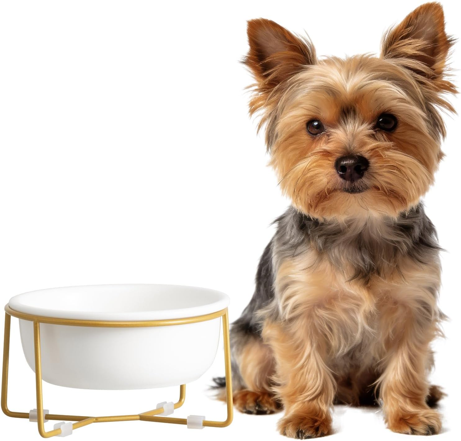 Elevated Ceramic Dog Bowl with Metal Stand - Raised Feeding Dish for Small Dogs and Cats - Ideal for Food or Water - Each Holds 400Ml / 2 Cups (Approx. 200G) - White image number 4