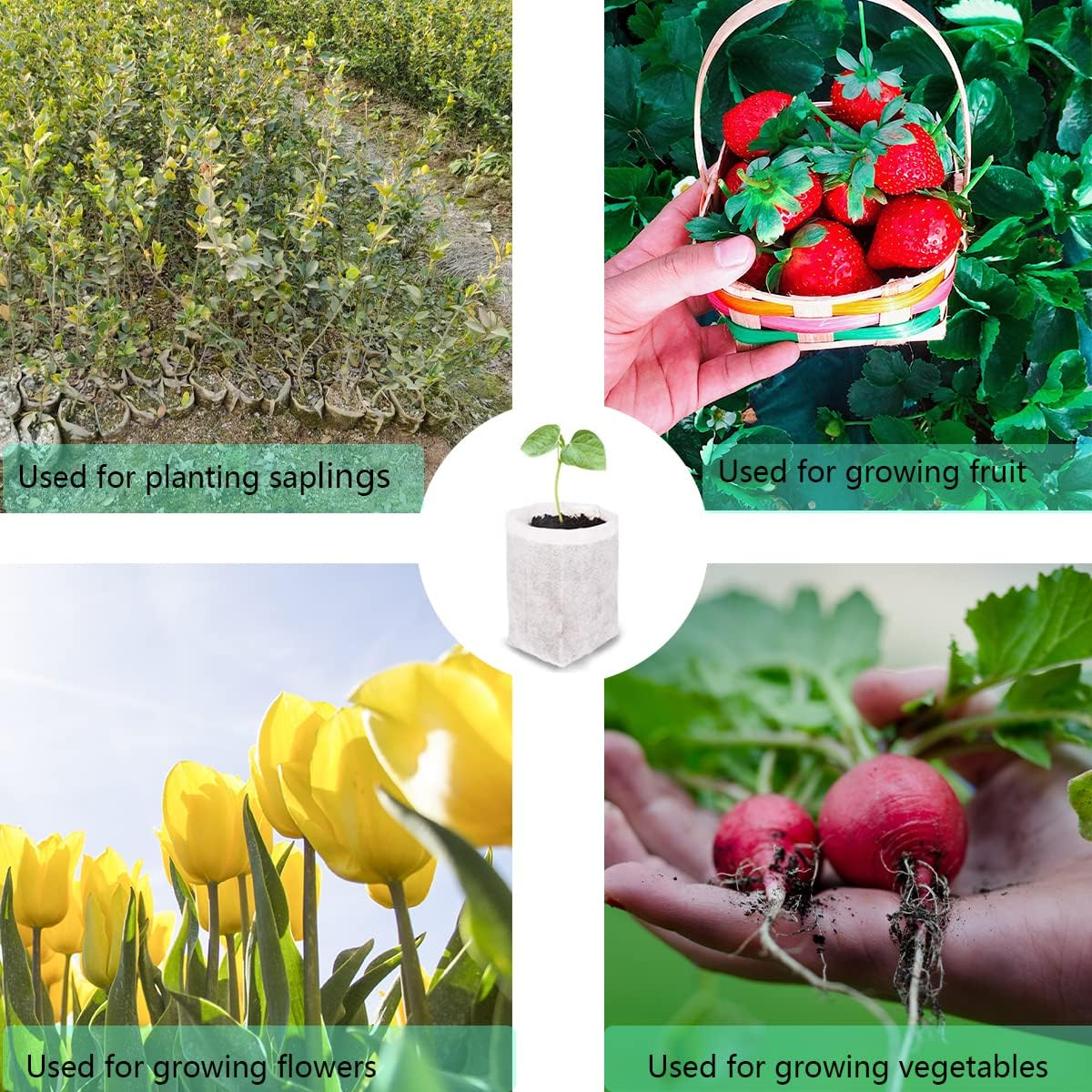 Gardtree Plant Nursery Bags 11.7&rdquo; X 13.5&rdquo; 50PCS, Non-Woven Biodegradable Plant Grow Bags Fabric Seedling Starter Pots for Vegetable Flower Fruit Saplings Tree, Home Garden Supply image number 6