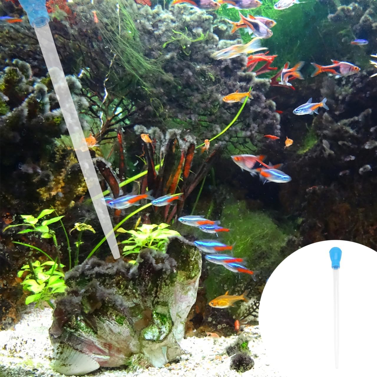 Ipetboom Turkey Baster Long Aquarium, 17Inch Fish Tank Coral Feeder, Fish Tank Gravel Mini Vaccume Pipettes Aquarium, Coral Food Feeding Tool for Marine Reef Aquatic Plant image number 6