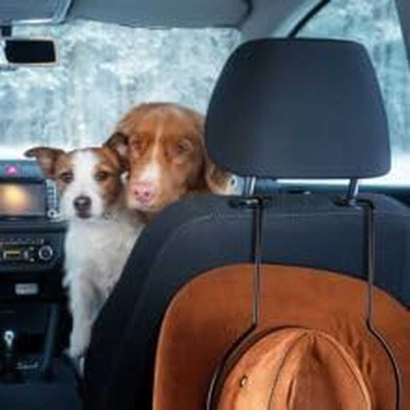 2 Pcs Car Hat Holder,Cowboy Hat Rack for Car Truck Rv,Metal Car Hat Hanger,Hard Hat Holder for Truck Seat Car Keep Hat Shape image number 4