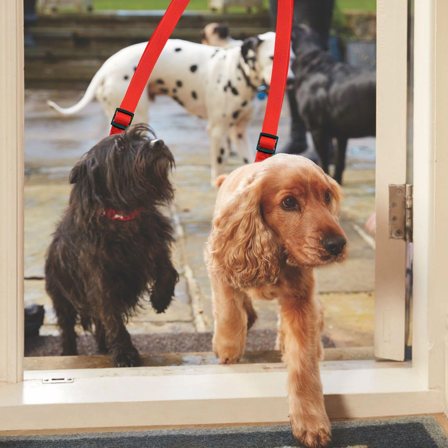 KSBBHDS 2 Pieces Double Wire Lead, Adjustable Lead, Pet Training, Dog Ice Supplies (Black, Red) image number 3