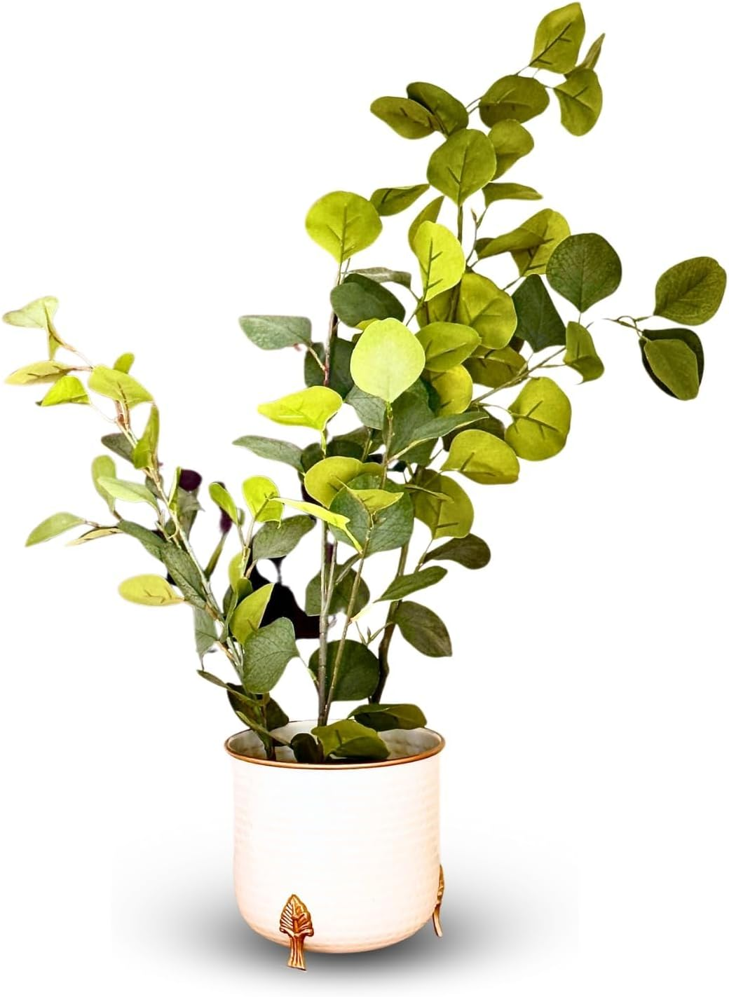Hammered Gold Rim Leaf Leg Planter by Indian Impressions | White Elegant Metal Planter with Stylish Leaf-Inspired Legs | Modern Indoor Plant Stand for Home, Office & Balcony | Decorative Accent Piece image number 2