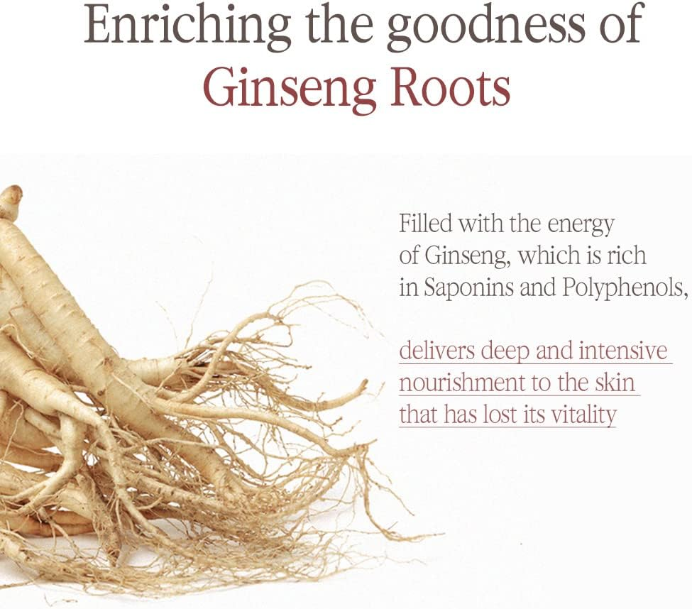 Pyunkang Yul [PKY] Black Tea Enriched Cream for Anti-Aging, Condensed Nutrition for Fine Line Care with Kombucha, Ginseng Extract, Zero-Irritation, Korean Skincare (2.02 Fl. Oz, 60Ml) image number 5