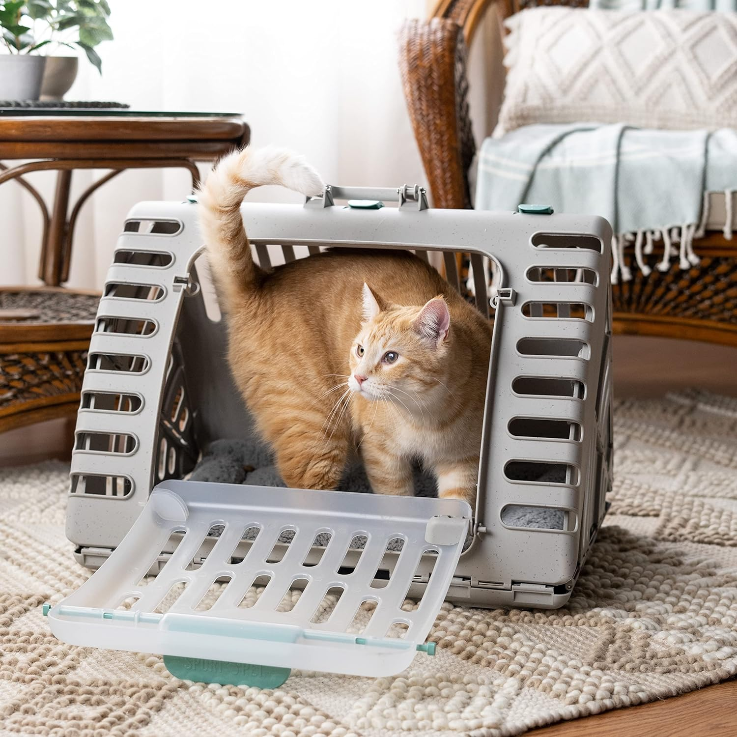 Sport Pet Extra Large Cat Carrier and Bed image number 2