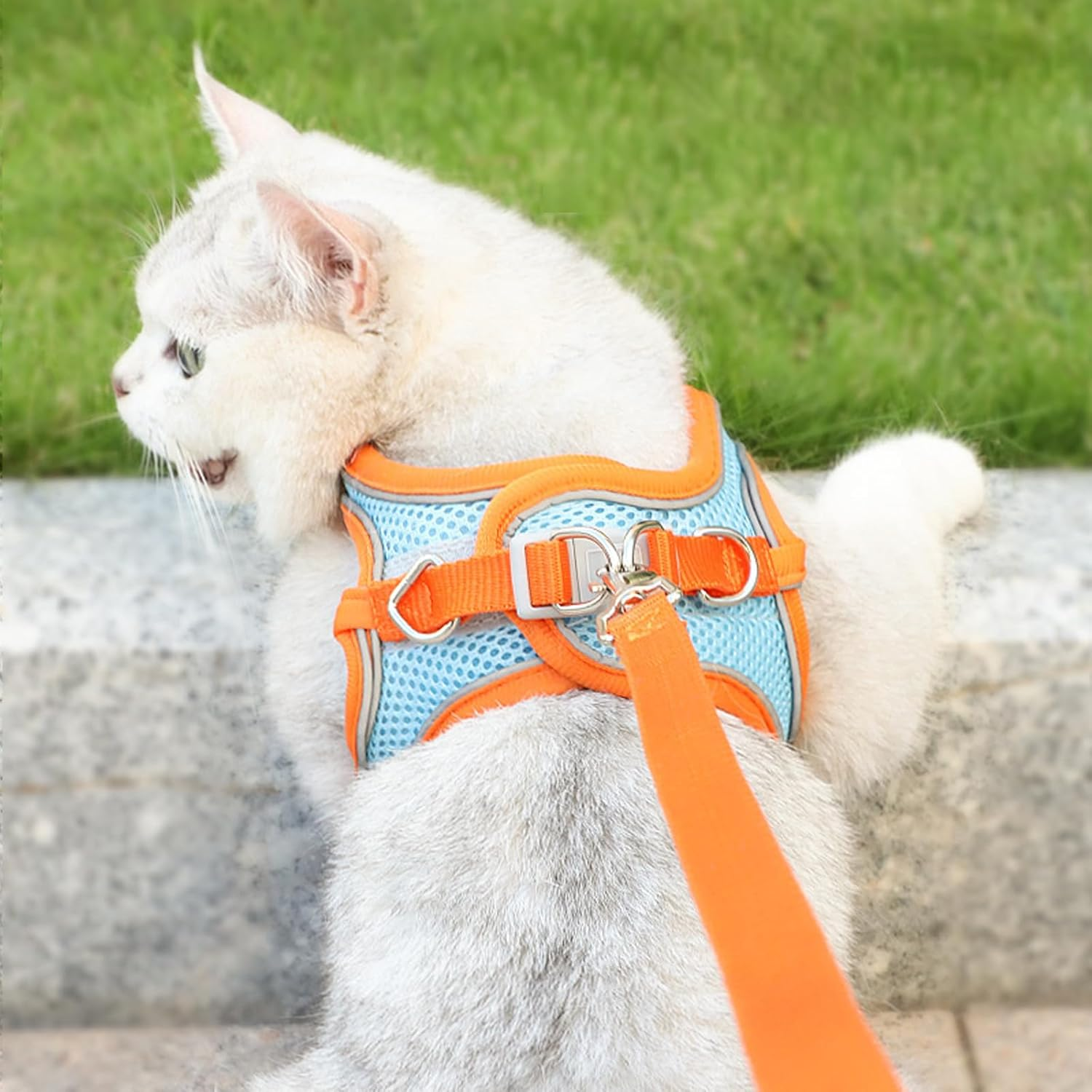 BSITSSS Cat Harness with Lead for Cats, Cat Lead with Harness for Cats Harness, Cat Harness with Reflective Strips, Cat Harness for Large and Small Cats image number 5