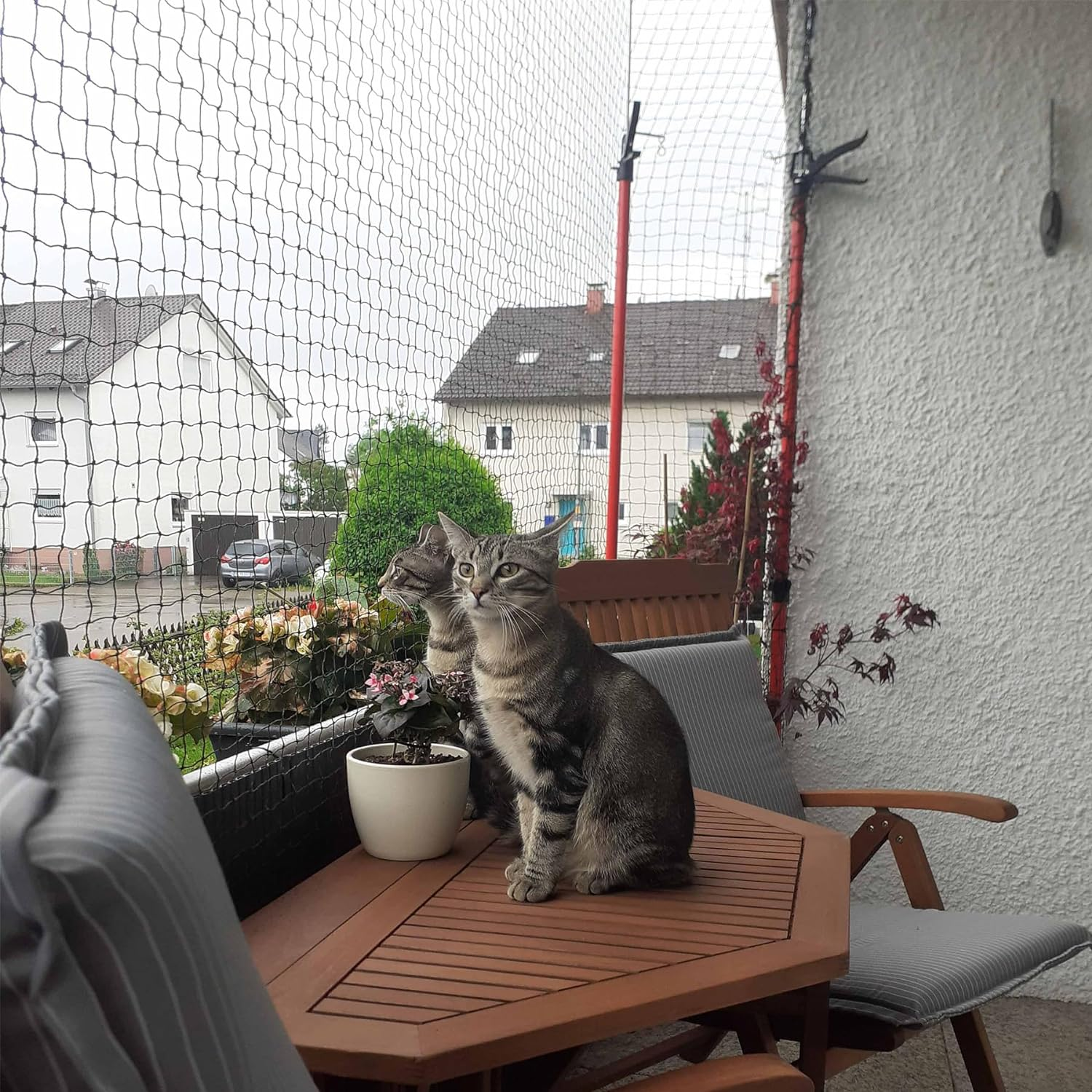 Cat Balcony Net Cat, Balcony Fence for Pets, Cat Netting Anti-Fall, Transparent Nylon Pet Mesh Fence for Dogs & Cat, Pet Safety Net for Balcony/Stairs/Window - 8X3Cm(26 X 10 Ft)