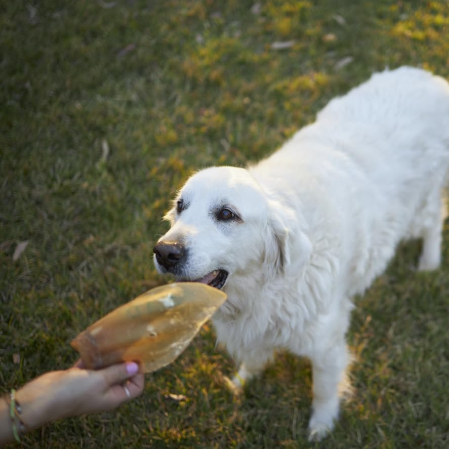 Kazoo Prime Cuts Cow Ears - 40Pk