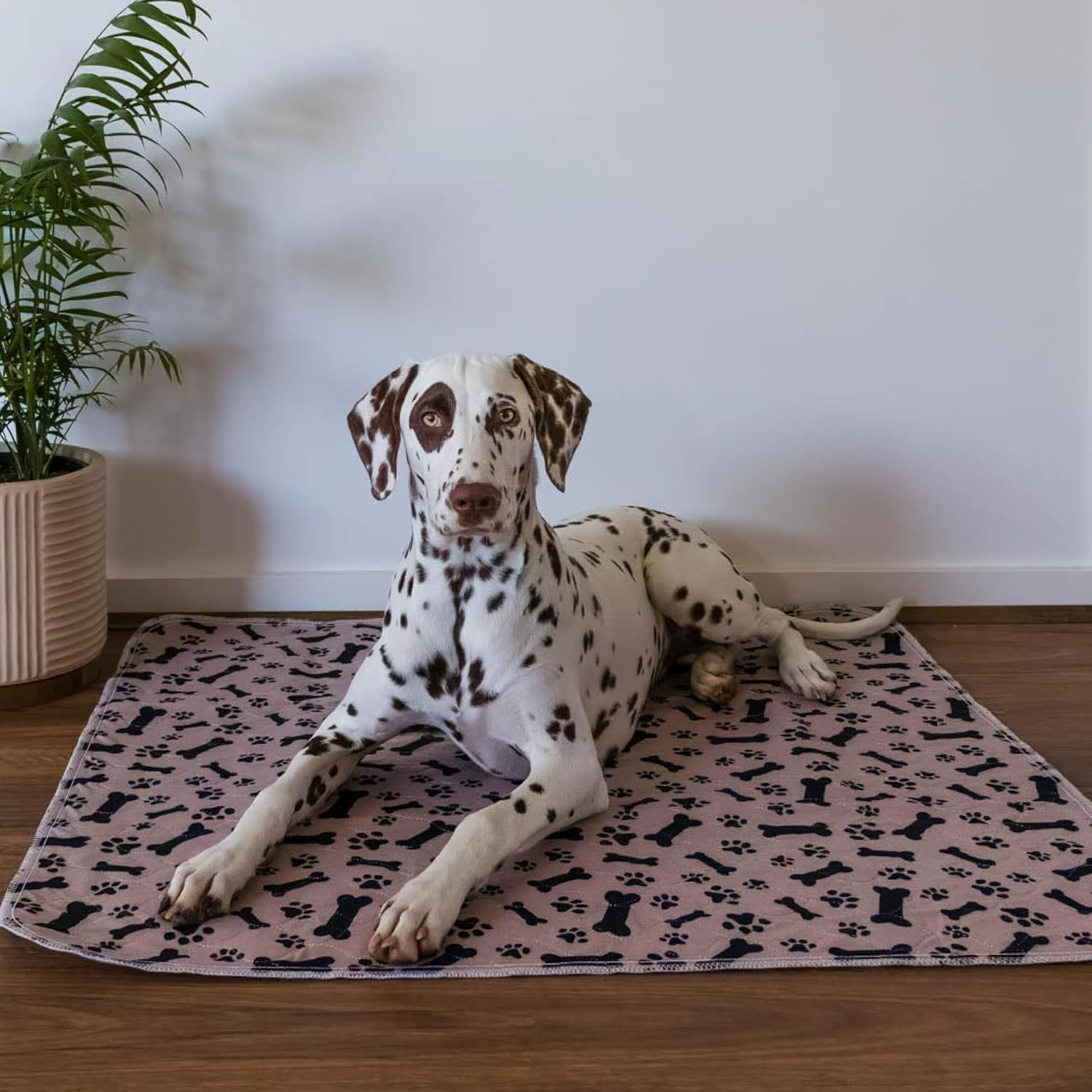 Coffee Reusable Puppy Pads - Accident Proof - Ultra Absorbent - Washable Dog Pee Pads - Multi-Purpose Protection - Waterproof Dog Mats for Floors - Small (S) image number 3