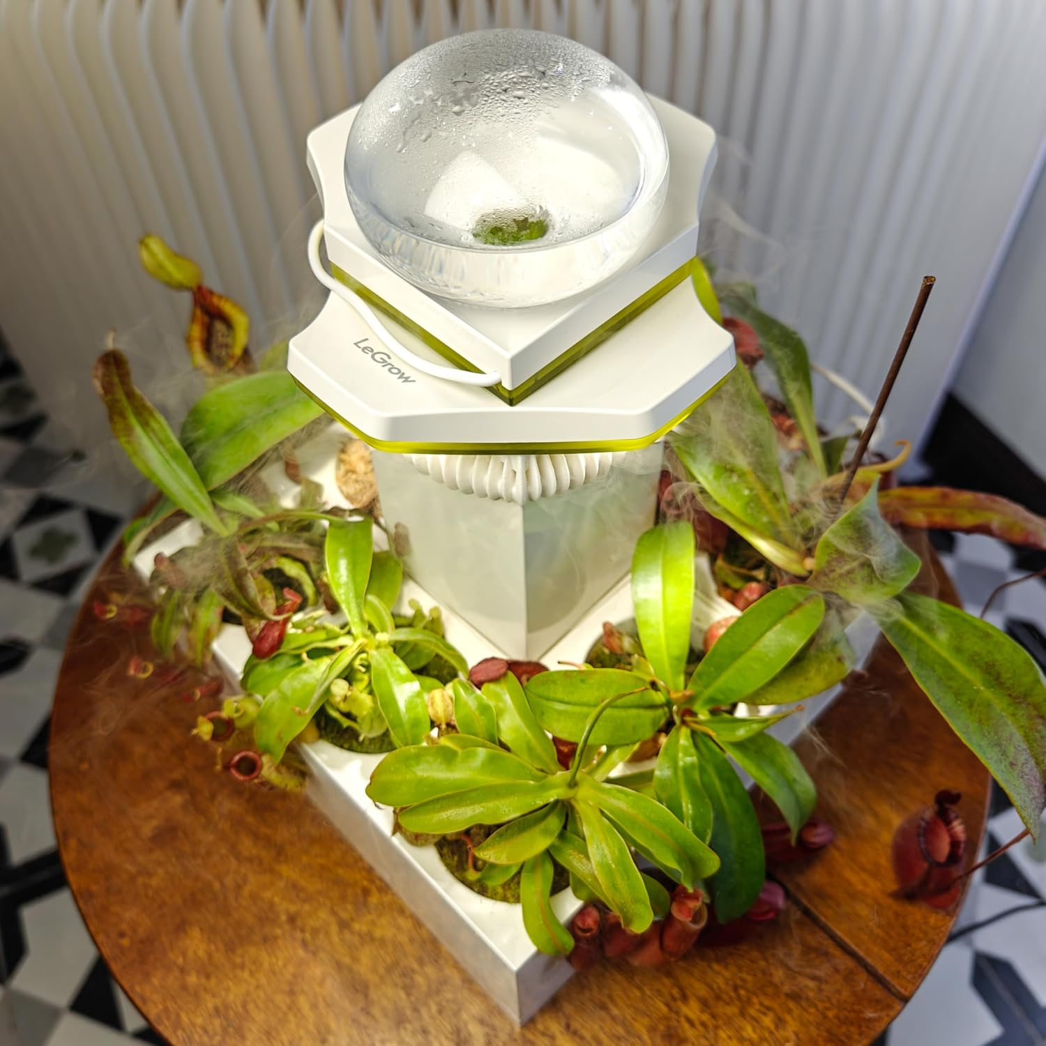 Legrow Nepenthes Terrarium System &ndash; Pitcher Plant Planter with LED Grow Light & Humidifier, Self-Watering Indoor Carnivorous Plant Setup &ndash; No Live Plant, Beginner Friendly image number 3