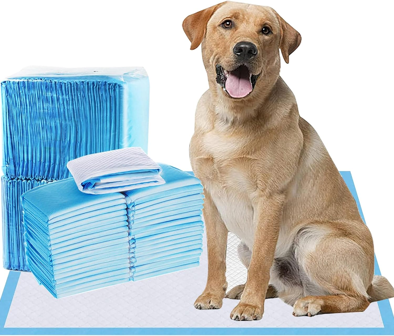 50Pcs 60X60Cm Disposable Pet Training Pads, 6 Layers Large Puppy Pee Training Pads Pet Training Pee Pads Super Absorbent & Leak-Proof Piddle and Potty Pads Pee Mats for Dogs, Cats, Pet (Blue) image number 2