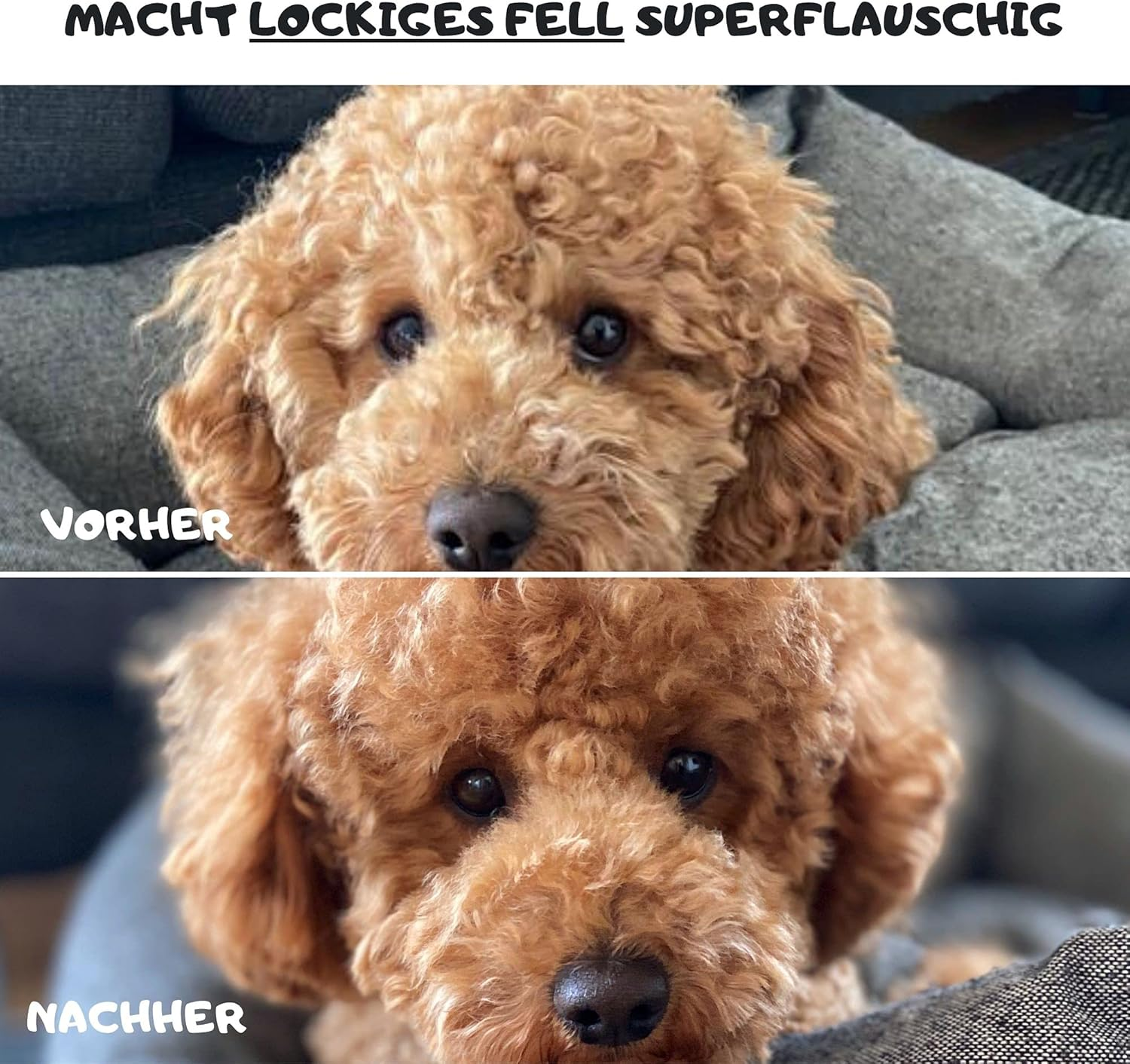 Moki Bear Soft Brush Dog Brush Poodle with Protective Nubs for Particularly Sensitive Animals I Ideal for Non-Hairy Dogs I Small image number 6