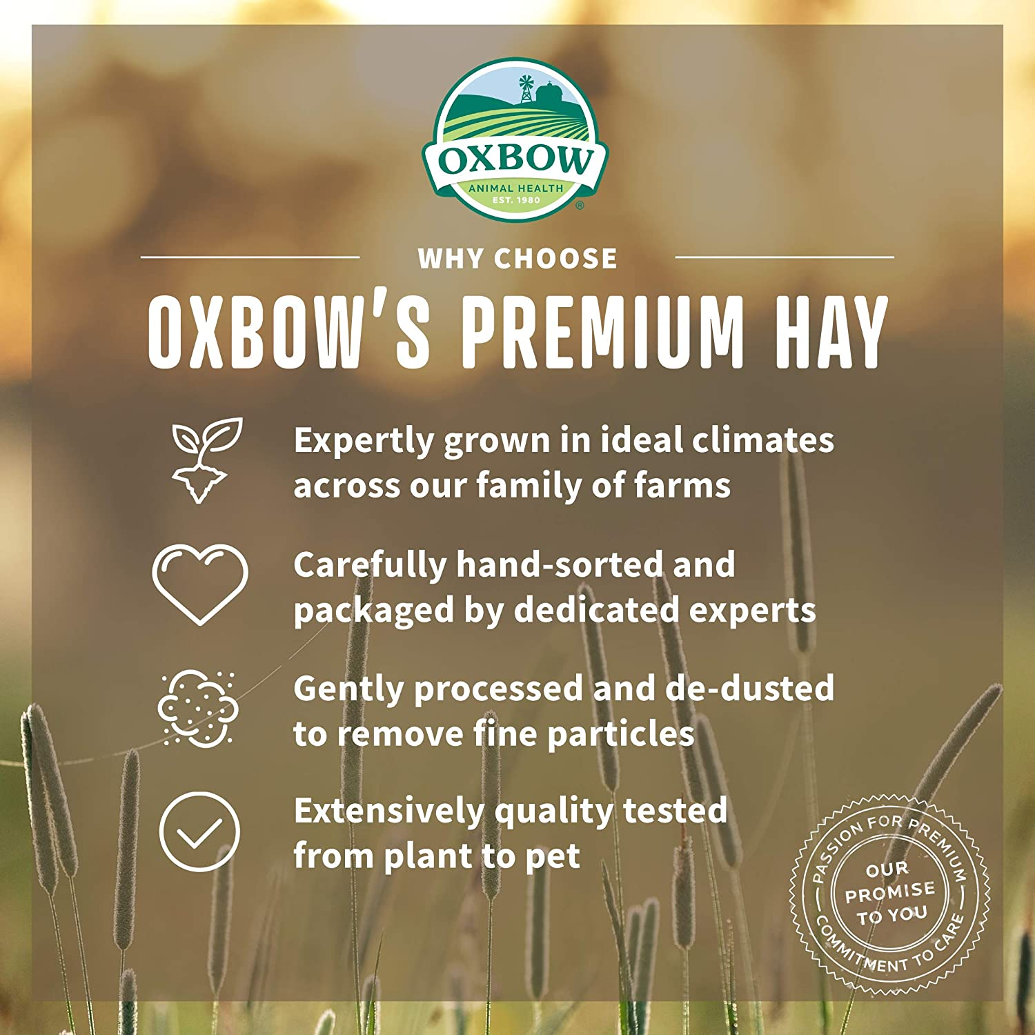 Oxbow Animal Health Hay Blends, Western Timothy & Orchard, Guinea Pig Hay, Small Pet Bunny Supplies, All Natural Grass for Guinea Pig & Rabbit, Oxbow Rabbit Supplies for Bunnies, 2.55Kg image number 5