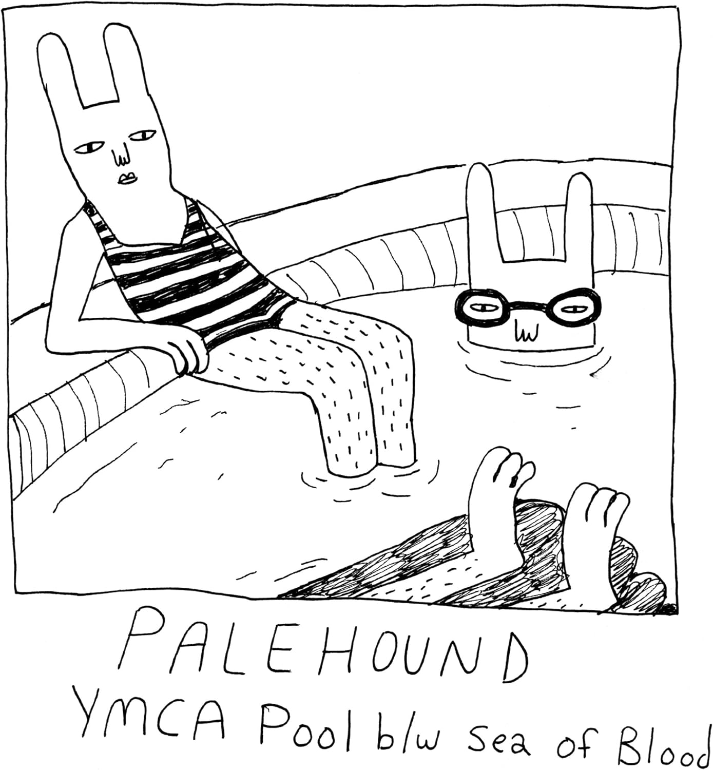 Saddle Creek YMCA Pool Vinyl