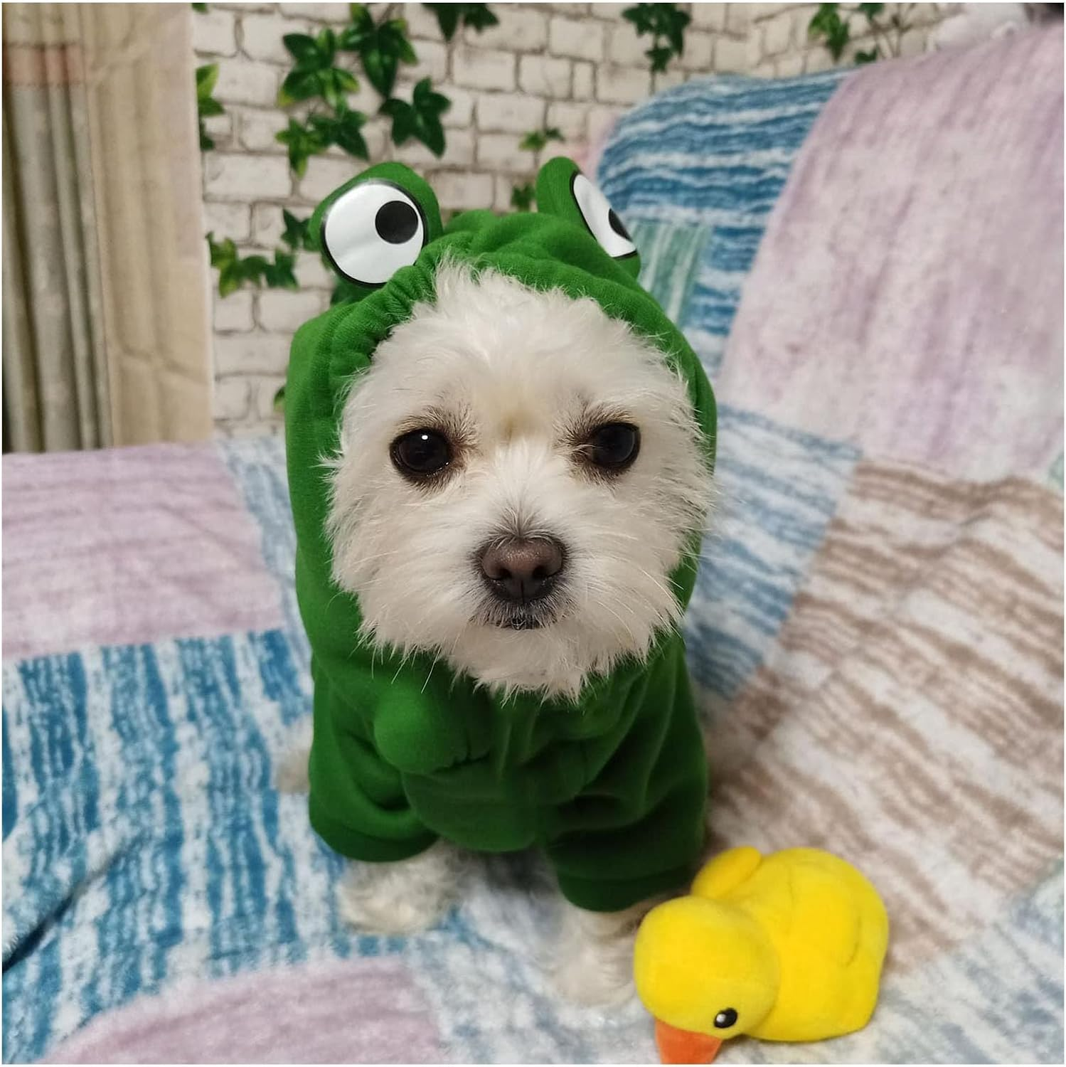 Pet Clothes, Dogs Hooded Sweatshirt Fruit Warm Coat Sweater Cold Weather Costume for Puppy Small Medium Large Dog (XXL, Green Frog) image number 2