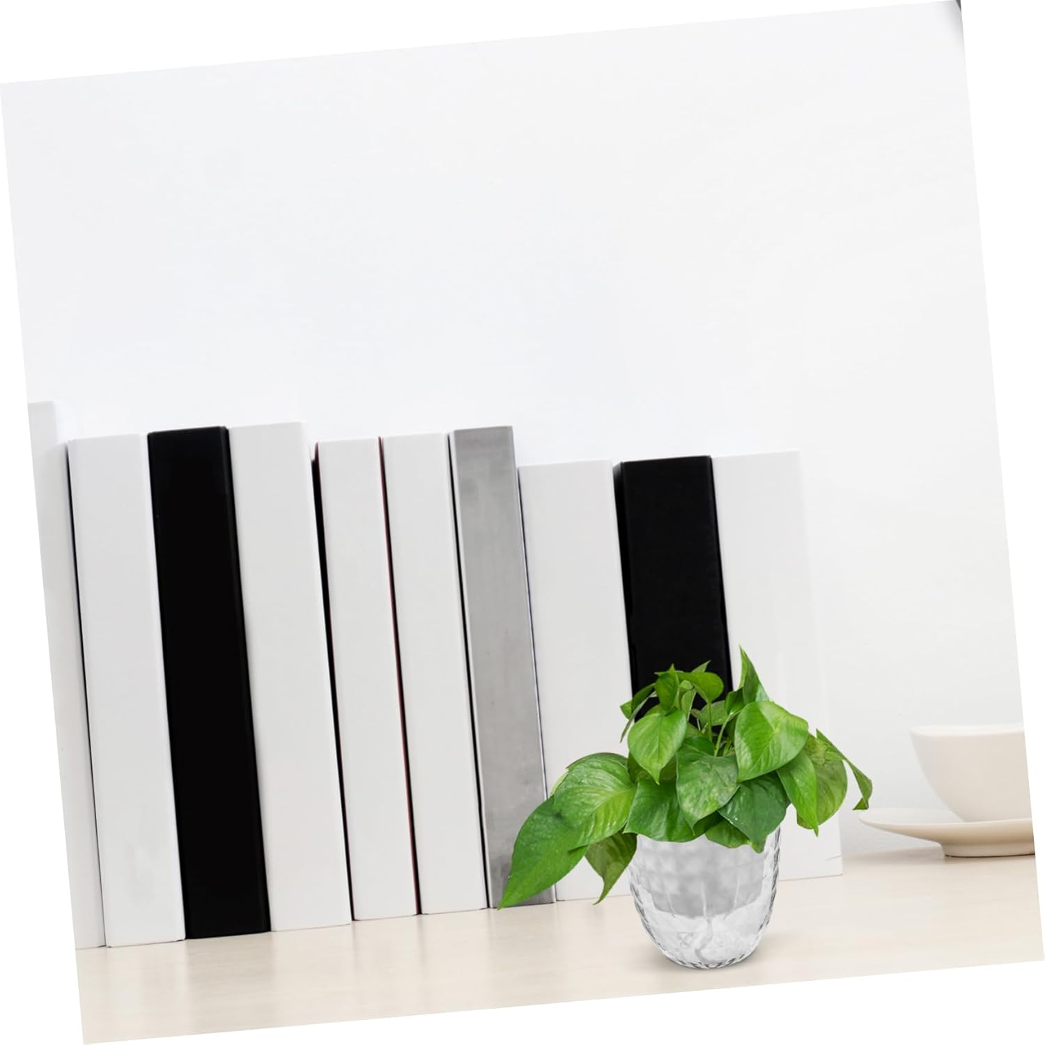 PAMINGONO 3Pcs Clear Self Watering Hydroponic for Indoor Plants Transparent Pots with Automatic Water Supply for Low-Maintenance Growth and Stylish Decor image number 3