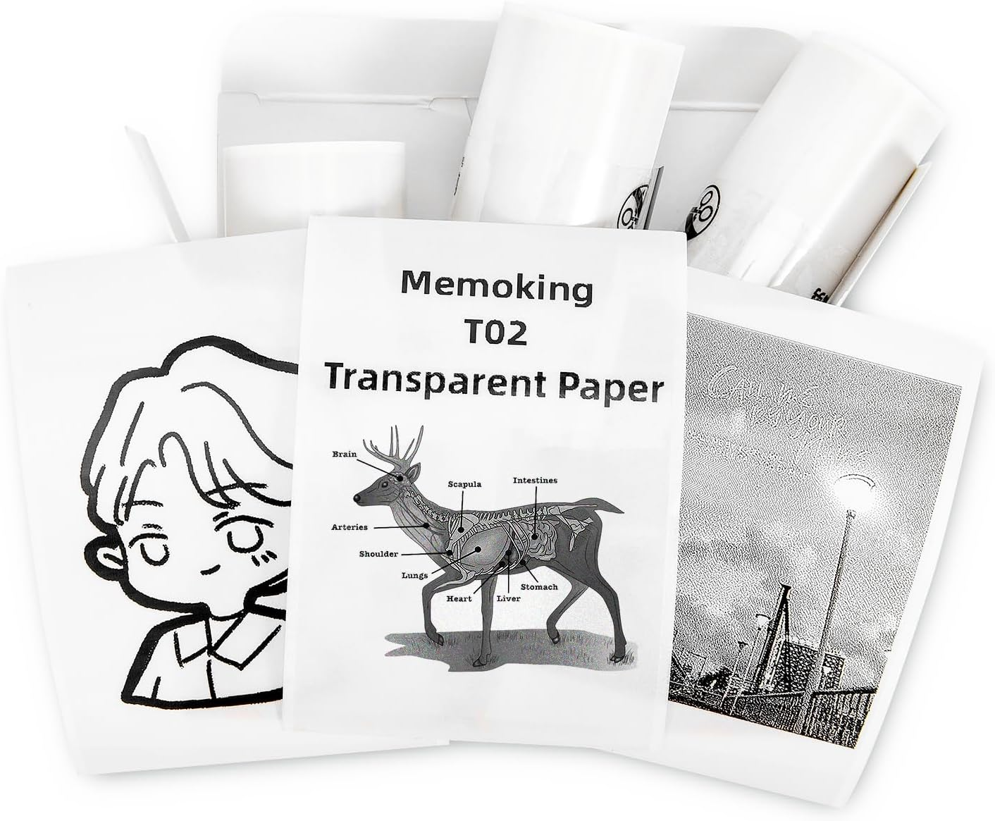 Memoking T02/M02X/M02L White Thermal Paper-10-Year Sticky 50Mmx3.5M for Journal Photo Texts Study Notes and More, 3 Rolls