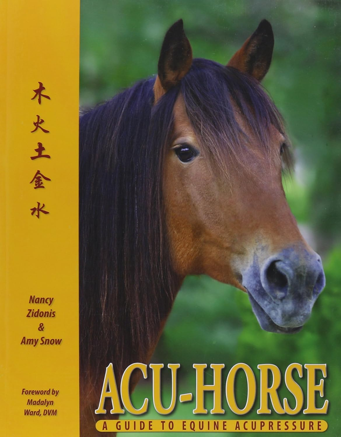 Acu-Horse: a Guide to Equine Acupressure image number 1
