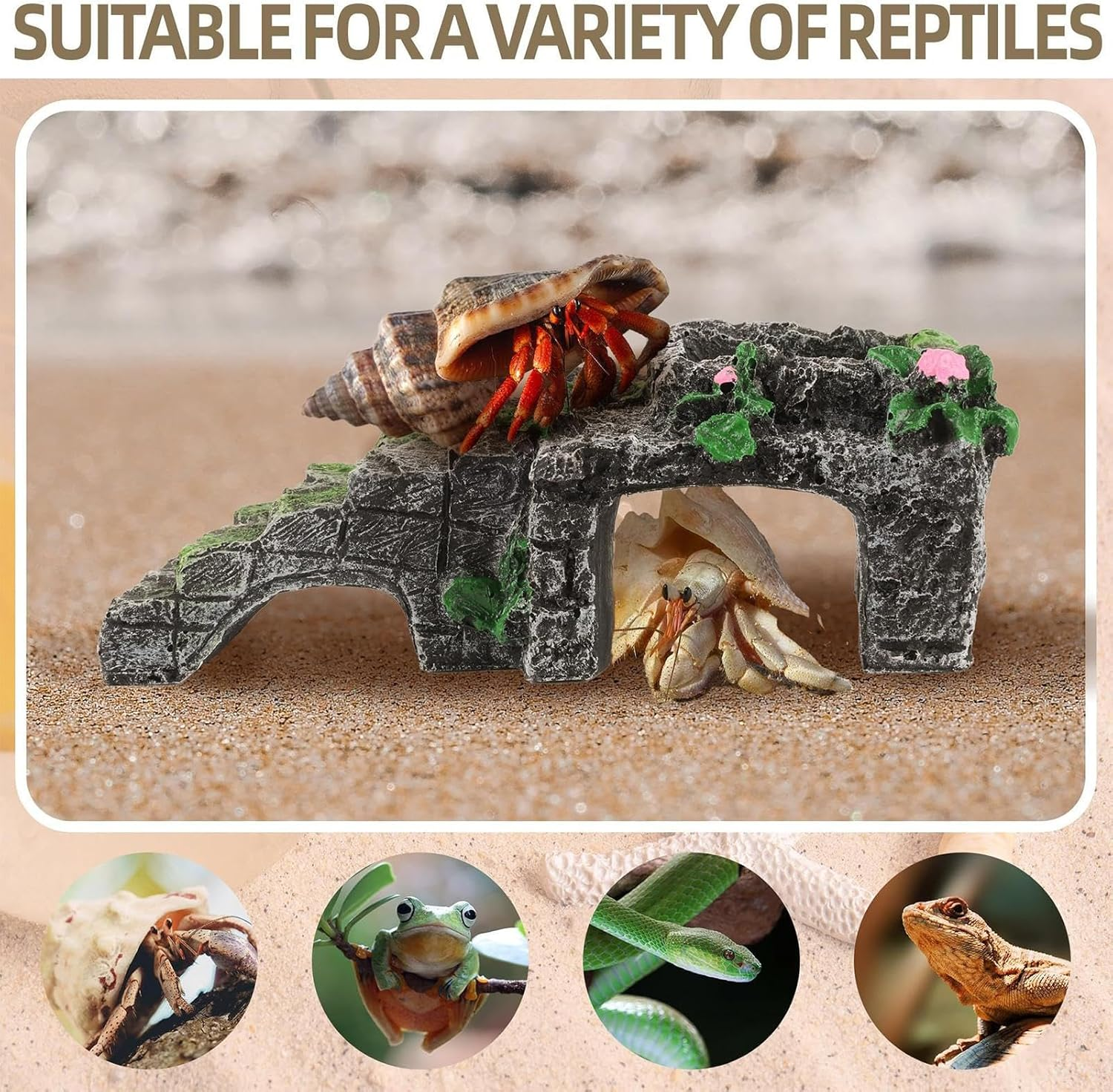 Hermit Crab - 5.12X2.17 Inches Climbing Ladder Water Bowl for Reptiles Tank, Feeding Ramp with Durable Safe Design, Baby Toys Crab for Frogs Lizards Turtle Snake Hamsters Geckos Aquarium Cage image number 3