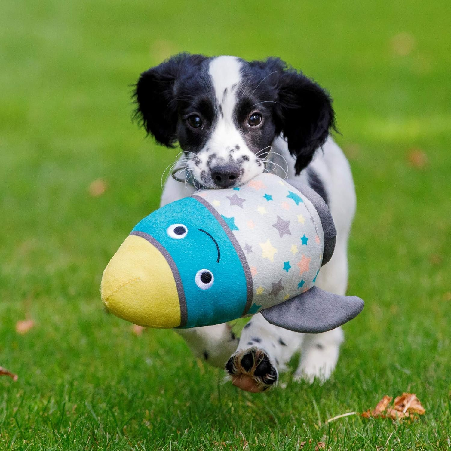 Petface (Little Petface) Rocket, Plush Puppy Dog Toy image number 4