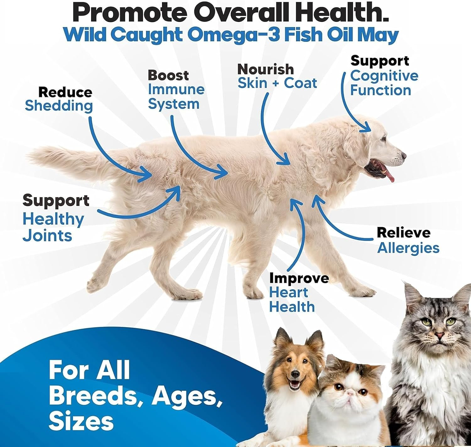 Wild Alaskan Salmon Oil for Dogs & Cats &ndash; Omega 3 & 6 Fish Oil Supplement &ndash; Cold-Pressed, Natural EPA + DHA for Skin, Coat, Joint & Immune Support &ndash; Heart & Brain Health &ndash; 250Ml - Vet-Approved Formula image number 3