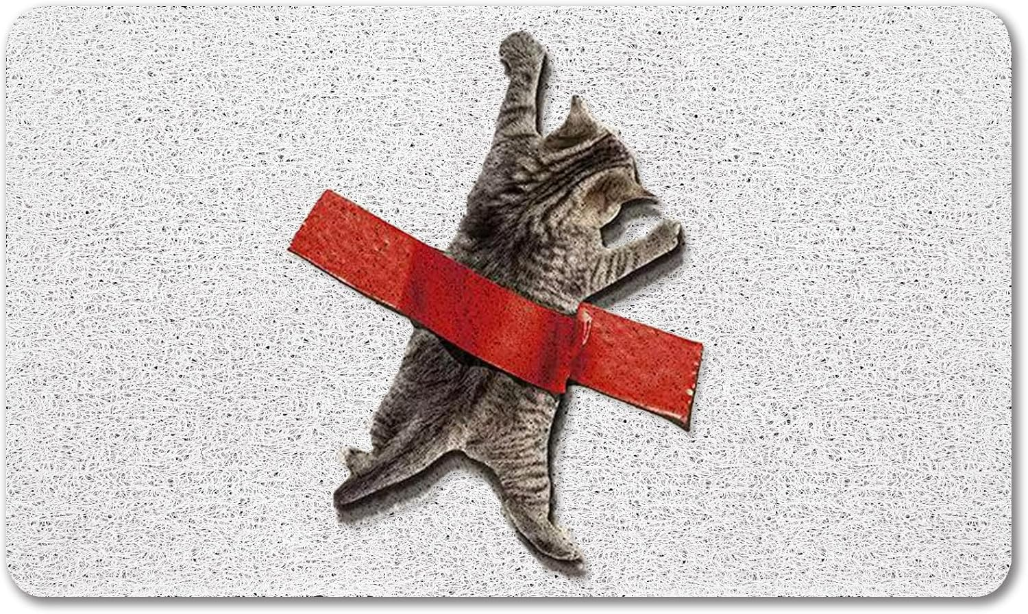 Cat Front Door Mat outside Entrance Non Slip Welcome Mats Outdoor Doormat Funny with Rubber Backing Easy to Clean Indoor Mats High Traffic Areas Entry